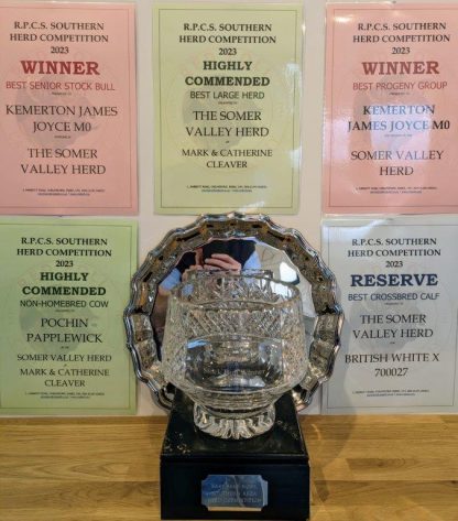 Somer Valley Awards